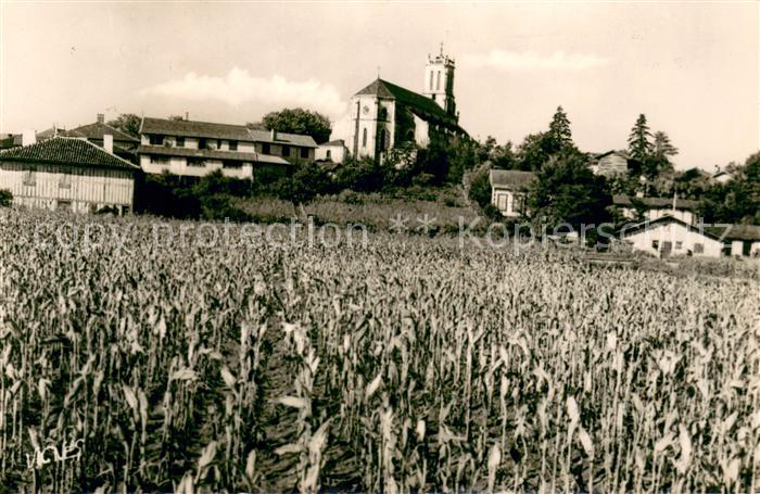 Leon Landes Teilansicht