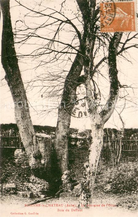 Brienne-le-Chateau La Fontaine de l’Orme Bois du Deffaut