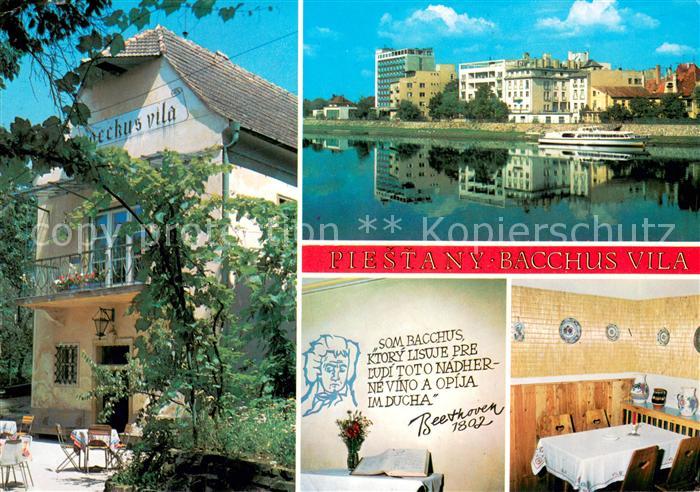 Piestany Bacchus Vila Details
