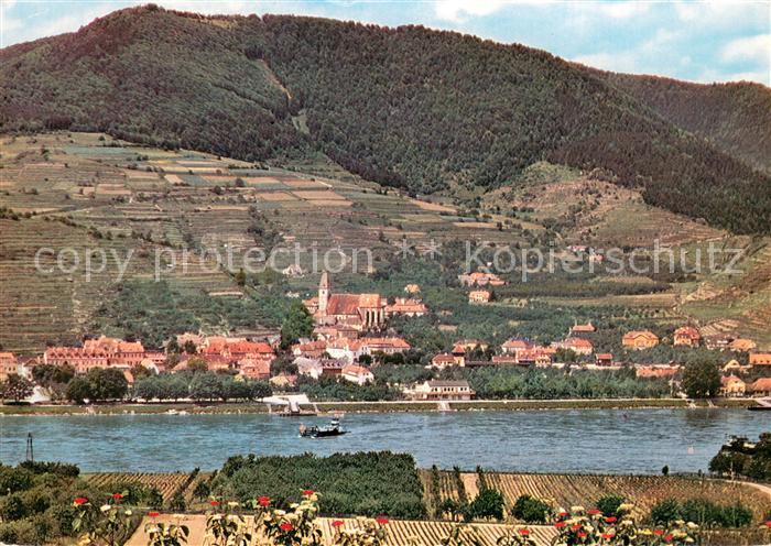 Spitz Donau Panorama