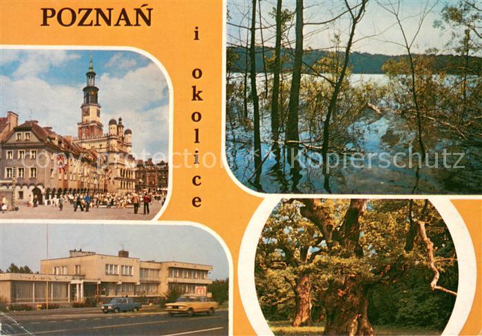 Poznan Posen Stary Rynek w Poznaniu Ratusz Muzeum Park Narodowy