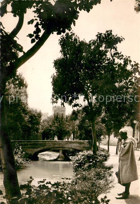 Fes Fez Maroc Oued Fes et Jardins de Boujeloud