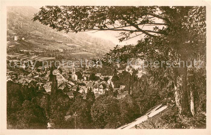 Allevard les Bains Isere Vue generale prise des Chataigniers