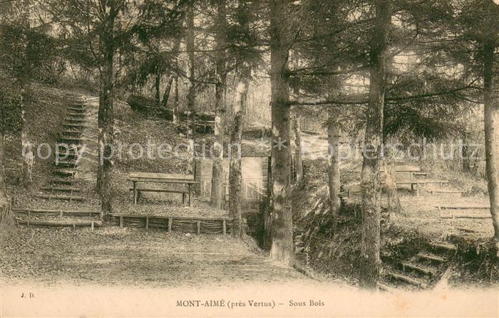 Vertus Mont Aimé sous bois