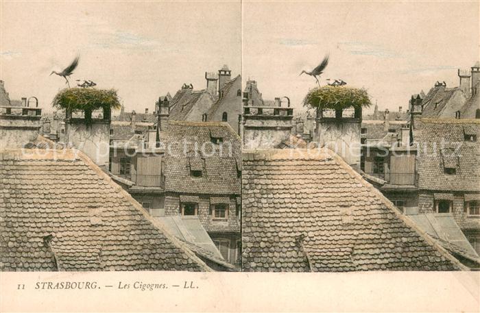 Strasbourg Alsace Les cigognes Storchennest Stereokarte