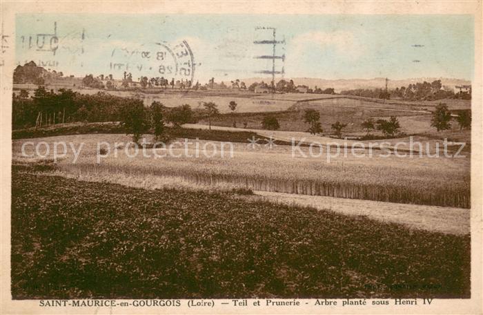 Saint-Maurice-en-Gourgois Teil et Prunerie Arbre planté sous Henri IV