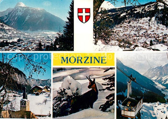 Morzine Panorama Wintersportplatz Franzoesische Alpen Bergbahn Gemse