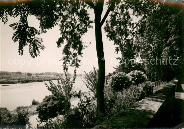 Beaugency La Loire vue du Petit Mail