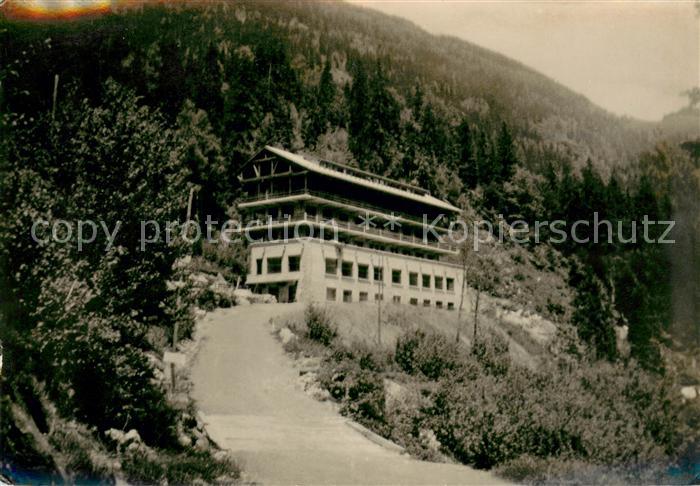 Les Houches Les Campanules de Thérèse