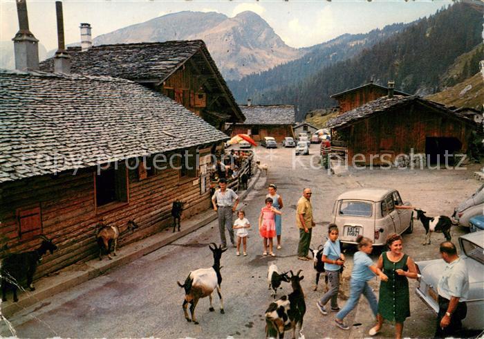 Les Lindarets Les chèvres au village