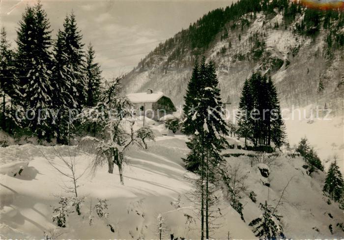 Les Gets Haute Savoie Paysage d hiver