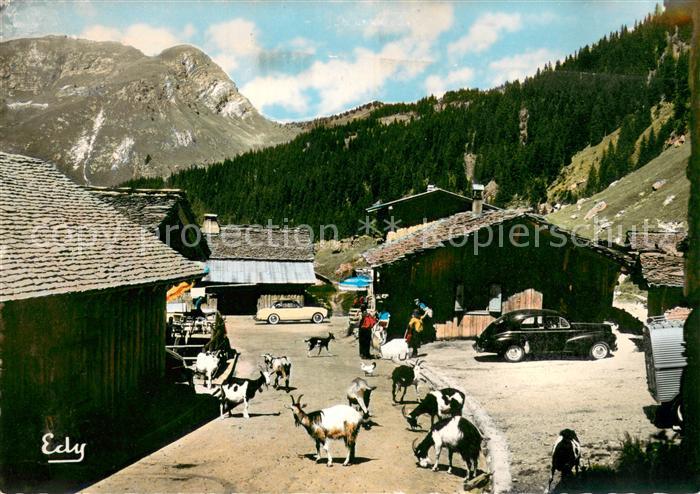 Les Lindarets Le village et ses petites chèvres des Alpes