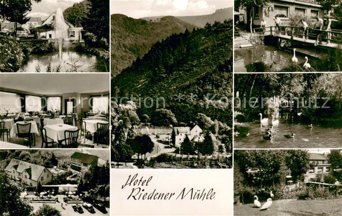 Mayen Hotel Riedener Muehle Gastraeume Schwanenteich Panorama