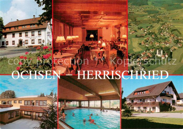 Herrischried Landgasthof Pension Zum Ochsen Gaestehaus Appartementhaus Hallenbad