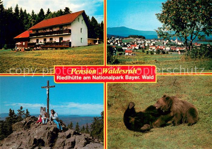 Riedlhuette Pension Waldesruh Panorama Gipfelkreuz Baeren