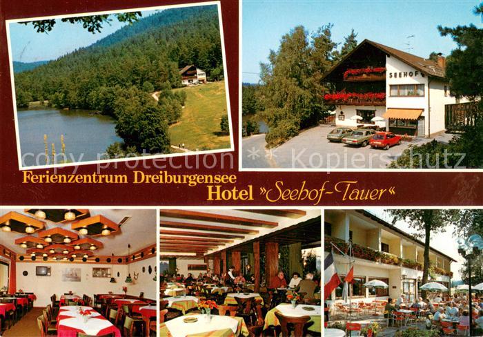 Rothau Dreiburgensee Hotel Seehof Tauer Gastraeume Terrasse