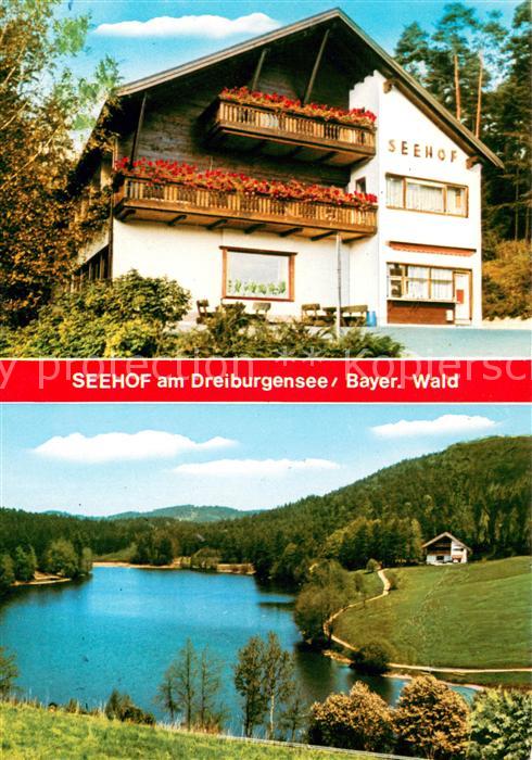 Rothau Dreiburgensee Pension Restaurant Seehof am Dreiburgensee