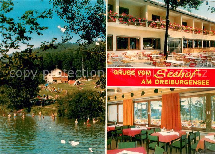 Rothau Dreiburgensee Pension Restaurant Seehof am Dreiburgensee Gastraum Terrass