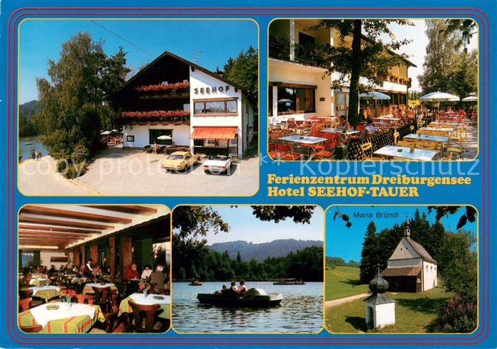Rothau Dreiburgensee Hotel Restaurant Seehof am Dreiburgensee Terrasse Gaststube