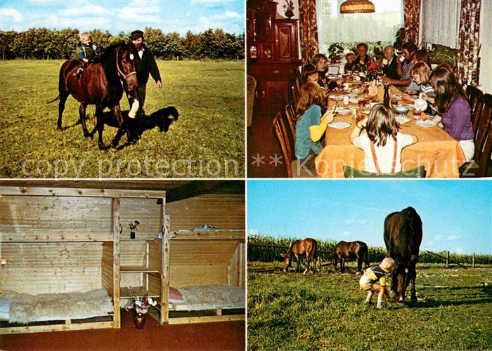 Nienkattbek Ferien auf dem Bauernof Naturpark Aukrug Reiten Pferdekoppel