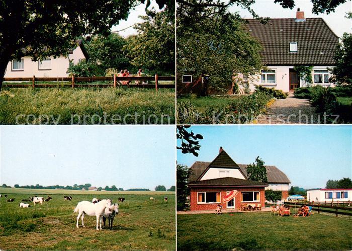Hasselburg Altenkrempe Urlaub auf dem Bauernhof Ferienhof Meier Viehweide Pferde