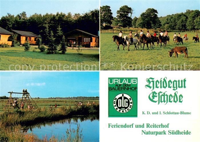Eschede Heidegut Eschede Feriendorf Reiterhof Natupark Suedheide