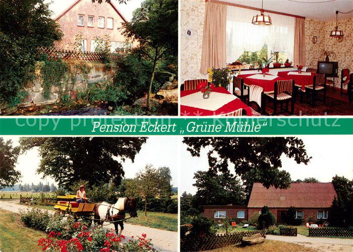 Gistenbeck Pension Eckert Gruene Muehle Ponywagen Clenzer Schweiz