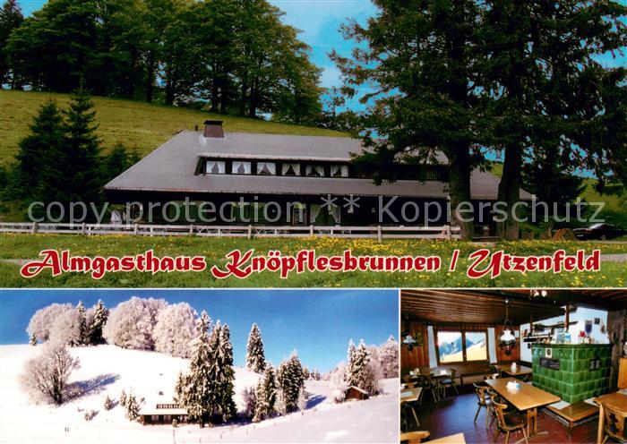 Utzenfeld Schwarzwald Almgasthaus Knoepflesbrunnen Gastraum Kamin im Sommer und