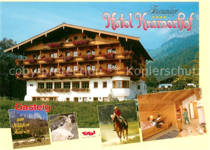 Kirchdorf Tirol Ferienanlage Hotel Kraemerhof am Wilden Kaiser Viehweide Ziege R
