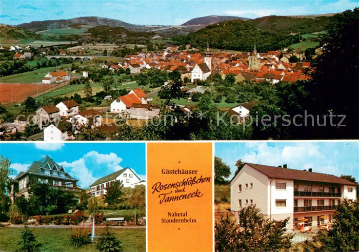Staudernheim Stadtpanorama Nahetal Gaestehaeuser Rosenschloesschen und Tanneneck