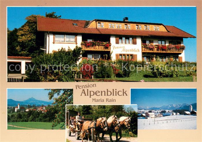 Maria Rain Allgaeu Pension Alpenblick Pferdewagen Sommer- und Winterpanorama