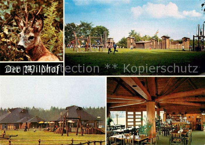 Daldorf Der Wildhof im Wildpark Trappenkamp Gastraum Rehbock