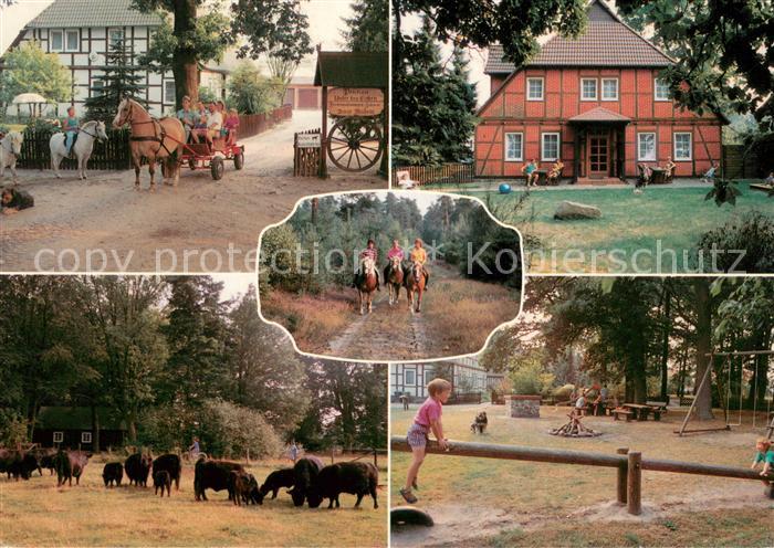 Sprakensehl Pension Unter den Eichen Pferdewagen Reiter Viehweide Kinderspielpla