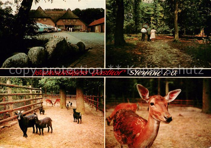 Stenum Backenkoehlers Gasthof Wildgehege
