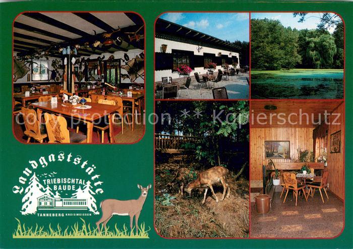 Tanneberg Triebischtal Landgaststaette Triebischtalbaude Gaststube Teich Rotwild
