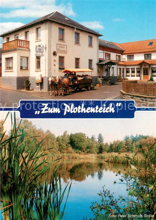 Plothen Gasthaus Pension Zum Plothenteich Pferdewagen Teichpartie