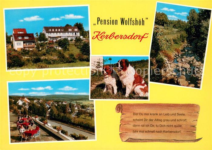 Bad Soden-Salmuenster Pension Wolfshoeh Kerbersdorf Terrasse Teich Bernhardiner