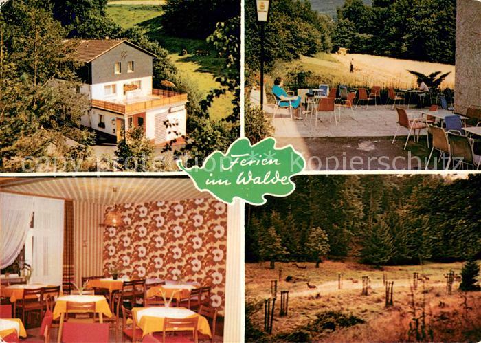 Schmittlotheim Gasthaus Pension Zum Eisebach Gaststube Terrasse Wildgehege