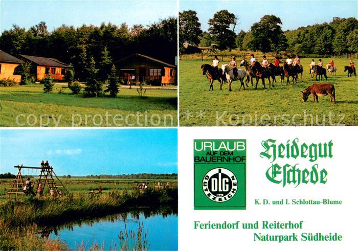 Eschede Feriendorf und Reiterhof Naturpark Suedheide