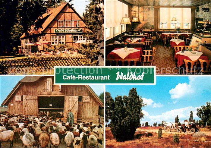 Niederhaverbeck Cafe Restaurant Waldhof Gaststube Schafherde Pferdekutsche
