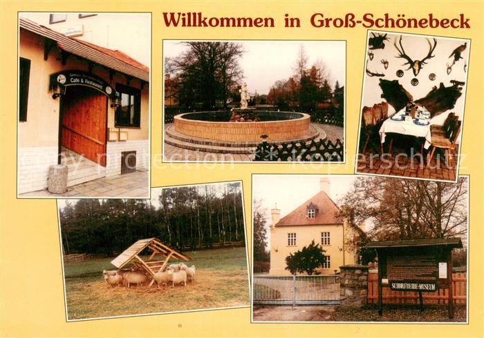 Gross Schoenebeck Gasthaus Zum Weissen Hirsch Schafe