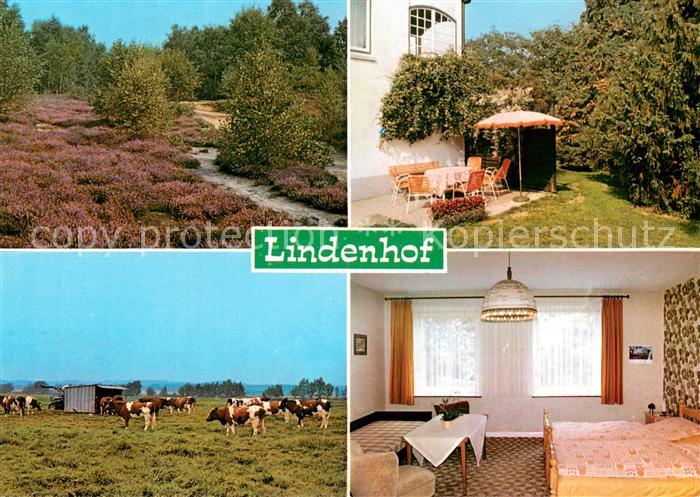 Aukrug Lindenhof Garten Zimmer Park Viehweide