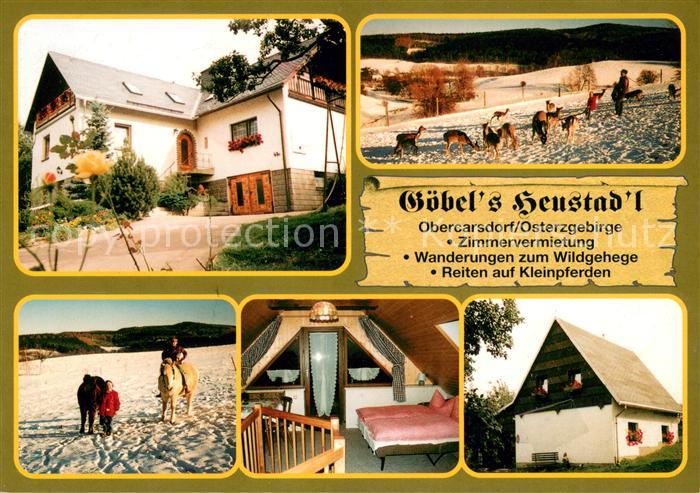Obercarsdorf Goebels Heustadl Ferienhaus Wildgehege Ponyreiten Zimmer