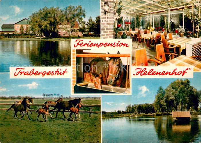 Buenzen Aukrug Trabergestuet Ferienpension Helenenhof