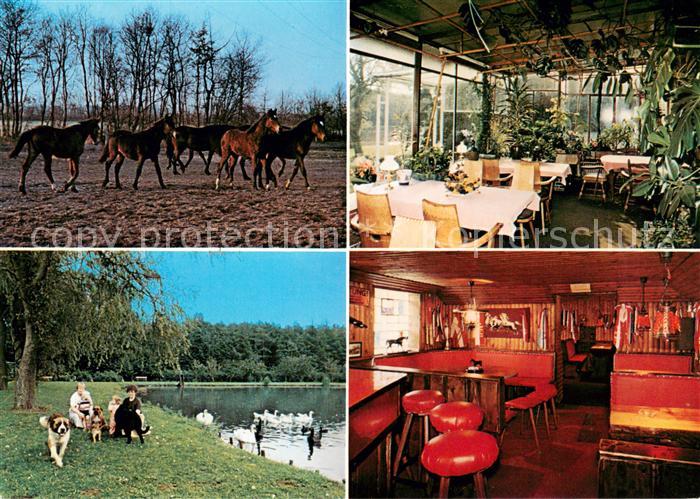 Buenzen Aukrug Trabergestuet Helenenhof Restaurant Gaststube Bar Schwanenteich