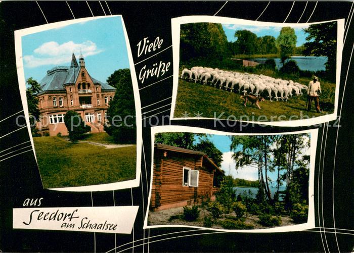 Seedorf Lauenburg Willi Pingel Heim am Schalsee Schafherde