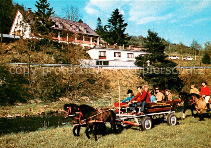 Dodenau Ponyhof Waldpension Ederblick Ponywagen