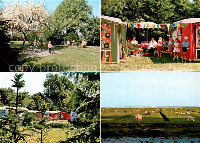 Neufeld Dithmarschen Campingplatz Zur Elbmuendung Gasthaus Zur Boerse Schafherde