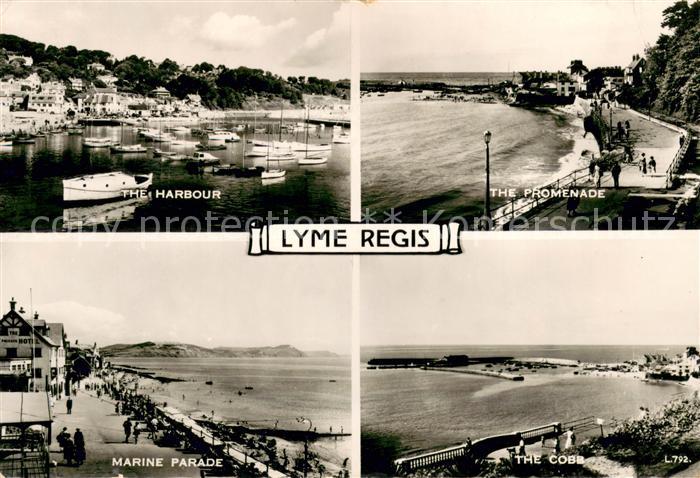Lyme Regis Harbour Promenade Marine Parade The Cobb