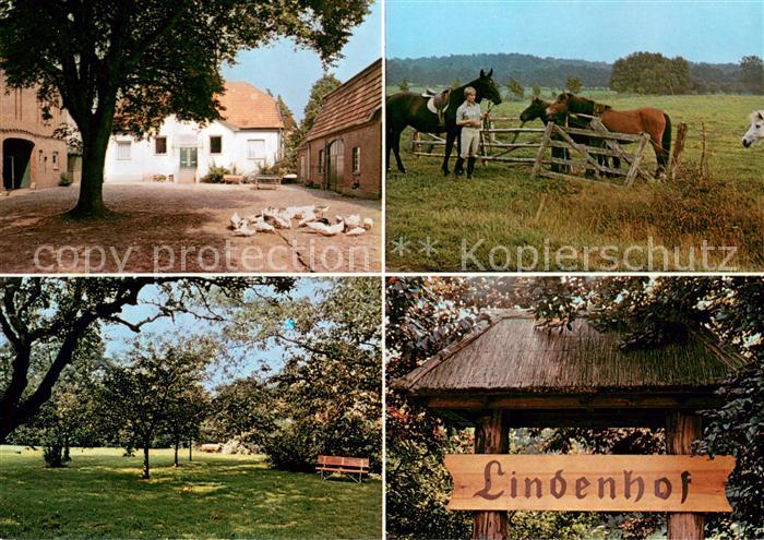 Aukrug Urlaub auf dem Lindenhof Pferdekoppel Obstwiese